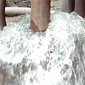 waterwells borehole drilling image